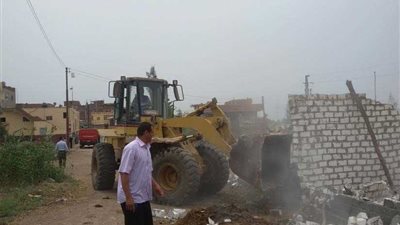 بالصور.. إزالة 35 حالة تعدٍ على الأراضي الزراعية بدمنهور والدلنجات
