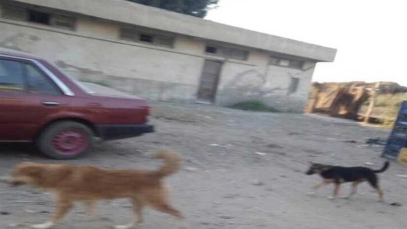 الوحدة الصحية بميت