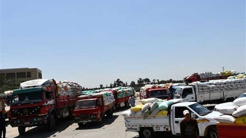 توريد 239 ألفا و200