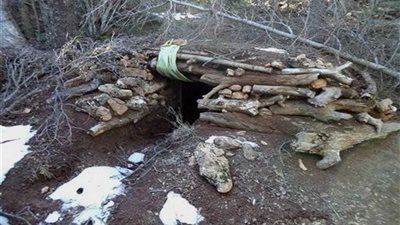 الجيش الجزائري ..تدمر أوكار المسلحين شمال شرقي البلاد