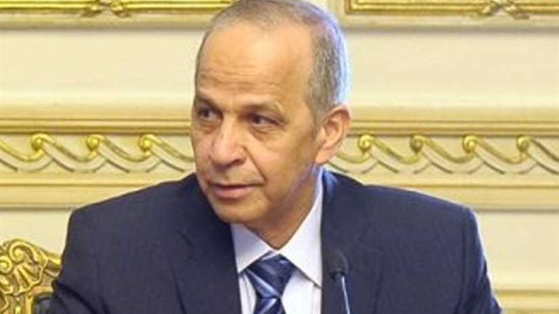 محافظ القليوبية: