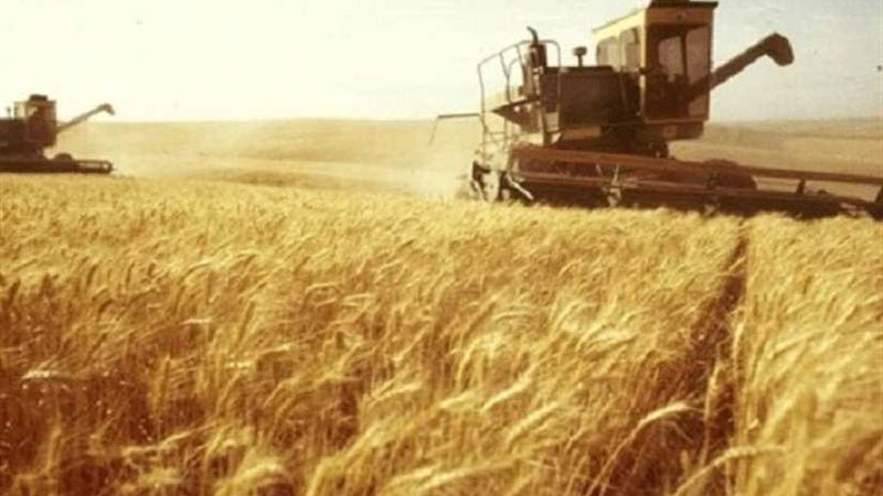 محافظ الغربية : توريد