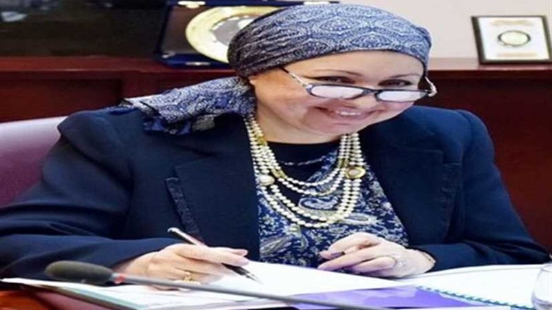 رئيس هيئة الاستثمار