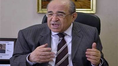 الفقي : اقتصاديات الثقافة ضرورية