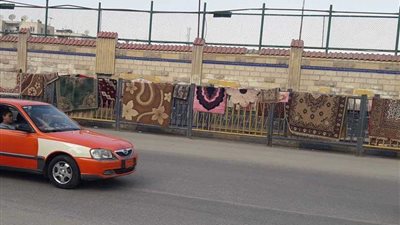 صورة×تعليق.. غسل السجاد على سور استاد الإسماعيلي