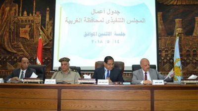 محافظ الغربية: التوسع في الأحوزة العمرانية بالقرى لمنع التعدي على الأراضي الزراعية