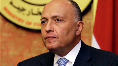 شكري: اجتماعات صيغة 