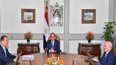 متحدث الرئاسة: السيسي يؤكد حرص مصر على تعزيز التعاون مع المجموعة الاقتصادية الصينية