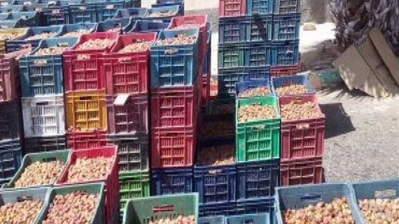 ضبط 2 طن تمور مجهولة