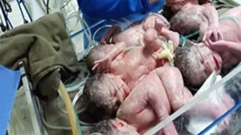 في ثاني حمل.. ولادة