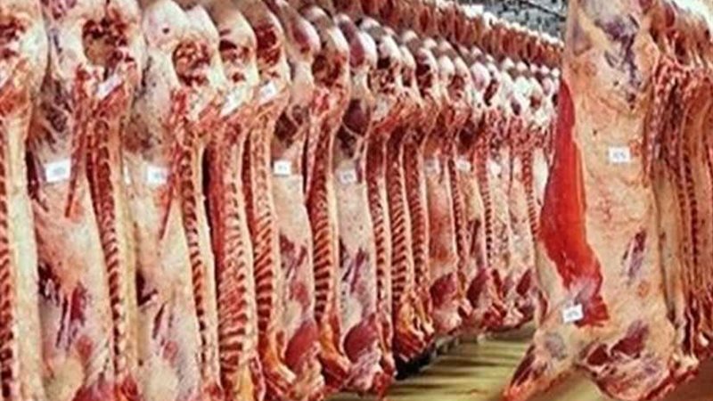 ​​خطة القليوبية لتوفير