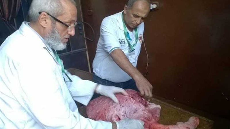 إعدام 421 كيلو أغذية