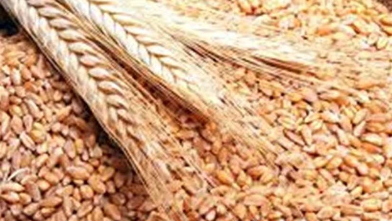 ضبط 84 أردب قمح قبل