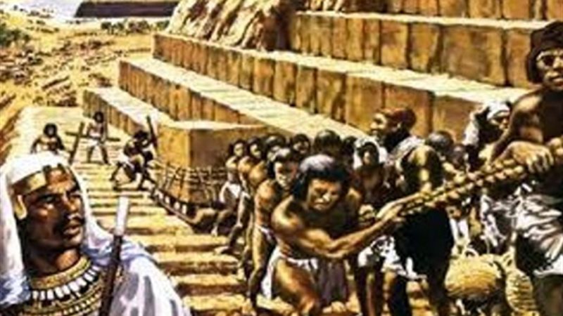 رضا محمد عبد الرحيم