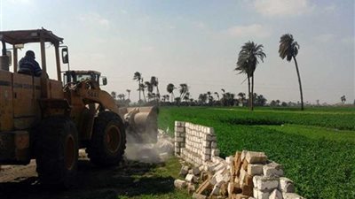 إزالة 125 حالة تعد على الأراضي الزراعية وأملاك الدولة بالمنيا