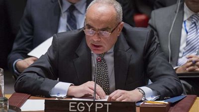 مصر تؤكد تسوية النزاعات وعلى رأسها القضية الفلسطينية