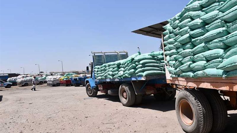 توريد 268 ألف طن