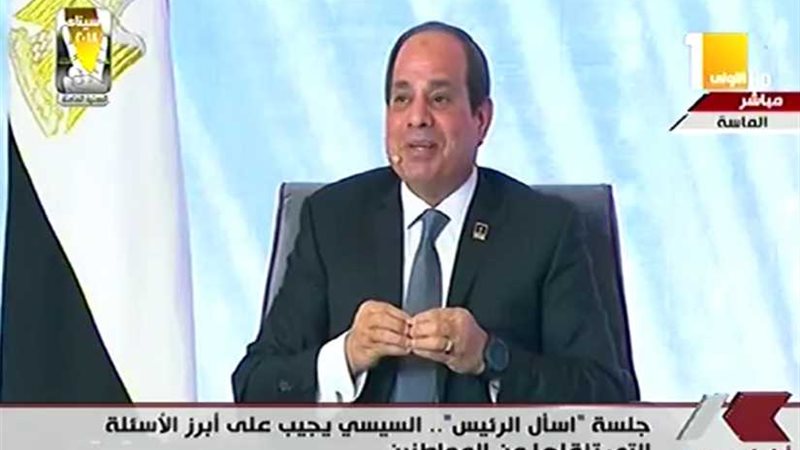 السيسي: لم أجد دولة