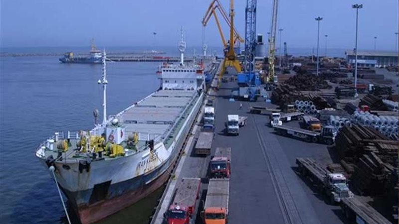 تداول 30 سفينة بموانيء