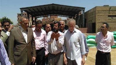 محافظ الجيزة: توريد 113 ألف طن قمح