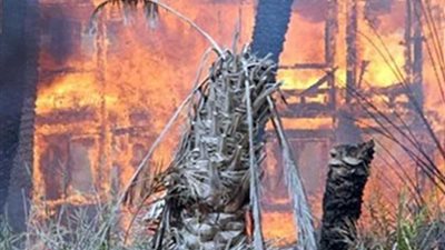 نفوق 4 آلاف كتكوت في حريق بمزرعة دواجن ببني سويف