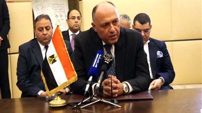 مصر وتونس والجزائر يؤكدون رفضهم التدخل الخارجي في ليبيا