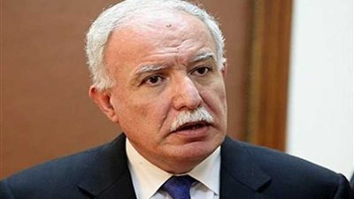 المالكي: القضية الفلسطينية اختبار حقيقي لنزاهة المجتمع الدولي (فيديو)