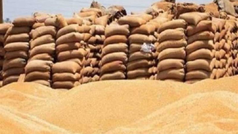 توريد 202 ألف طن