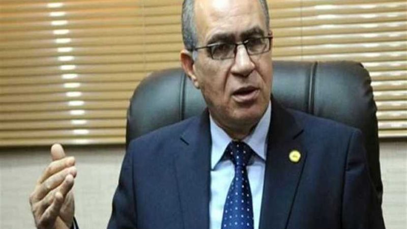 طارق السيد : صناعة