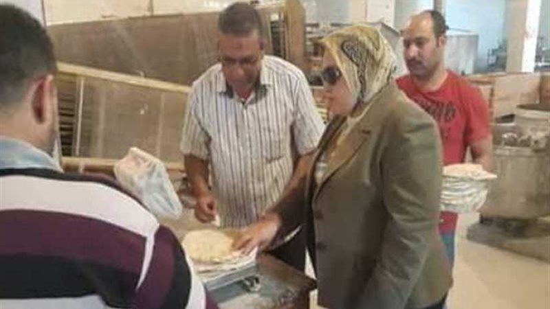 رئيس مدينة الدلنجات