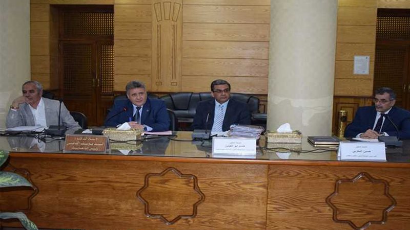 جامعة بنها الدولية