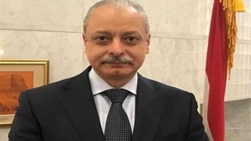 السفير المصري في