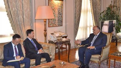 شكري يبحث مع رئيس لجنة المعلومات بـ