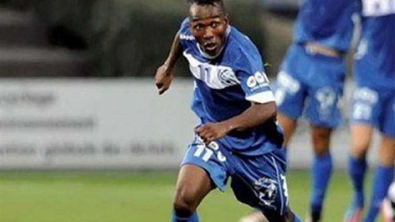 الأهلي يجدد مفاوضاته