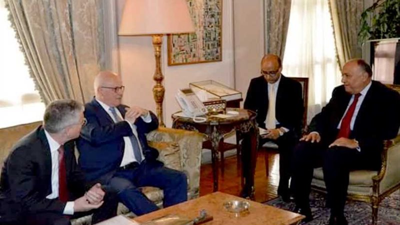 شكري يستقبل زعيم