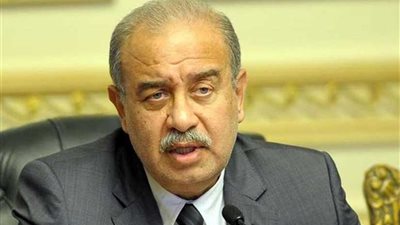 رئيس الوزراء: إجراءات لإصلاح (المآخذ) وتطهير الترع