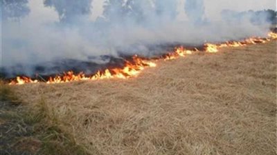 نشوب حريق في 400 بالة قش أرز بـ