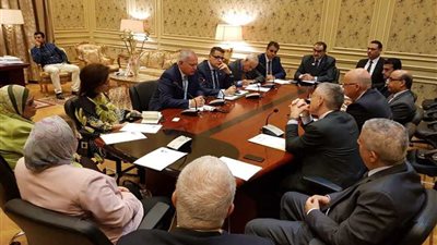 خارجية النواب تلتقي عضو 