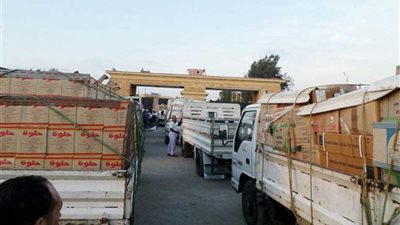 وصول قافلة المساعدات المقدمة من الأزهر إلى قطاع غزة (صور)