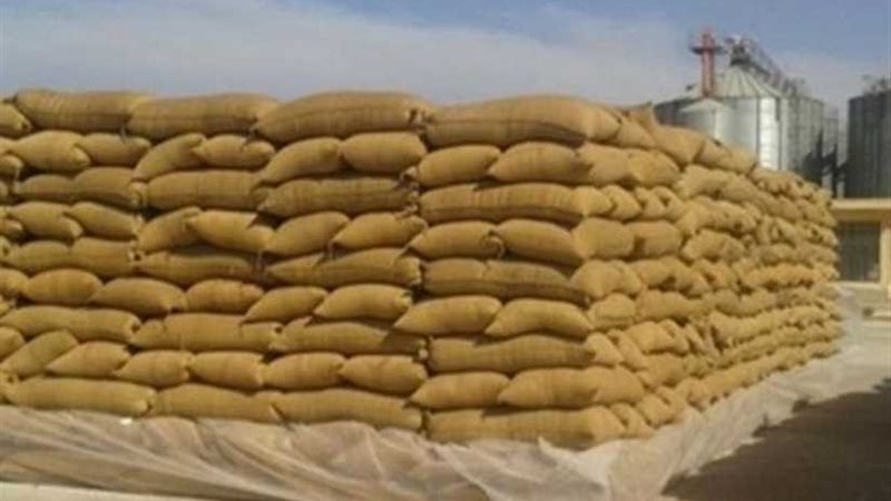 توريد 204 آلاف طن