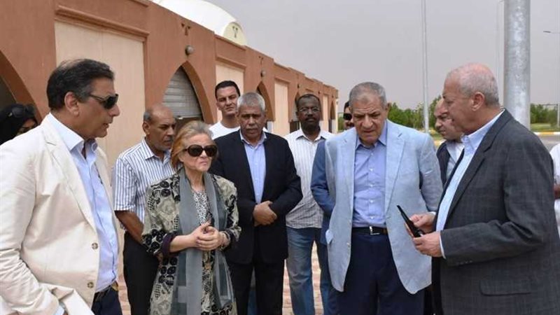 لجنة تنمية جنوب الوادي