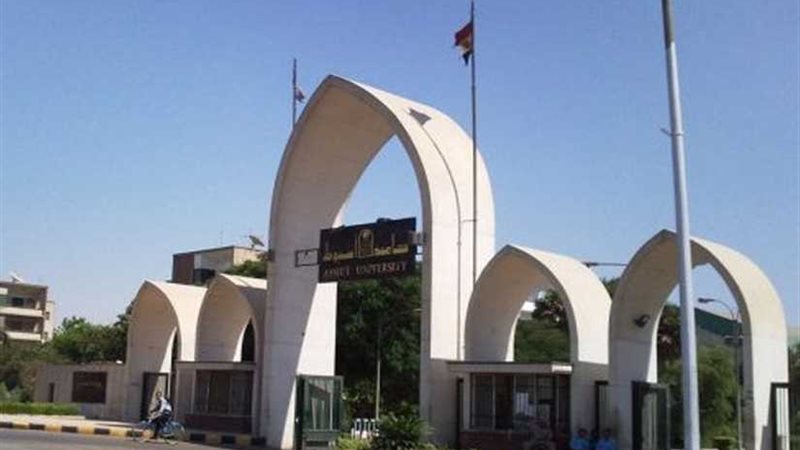 إنقاذ مرضى صعيد مصر