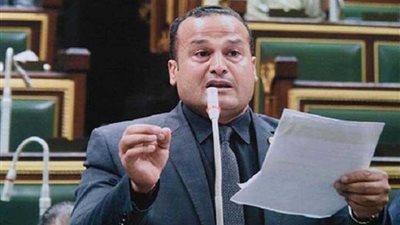 تفاصيل واقعة خلع نائب الدلنجات للأسفلت بقرية الوفائية