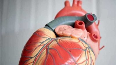 أنسجة اصطناعية تعيد بناء نفسها داخل الجسم