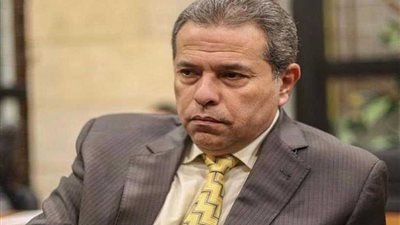 طعن عكاشة على حبسه سنة بتزوير شهادة الدكتوراه 14 يوليو