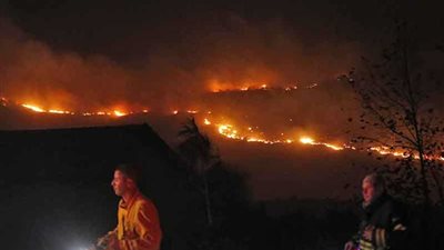 حرائق مروعة تلتهم محمية طبيعية بين قطاع غزة وإسرائيل