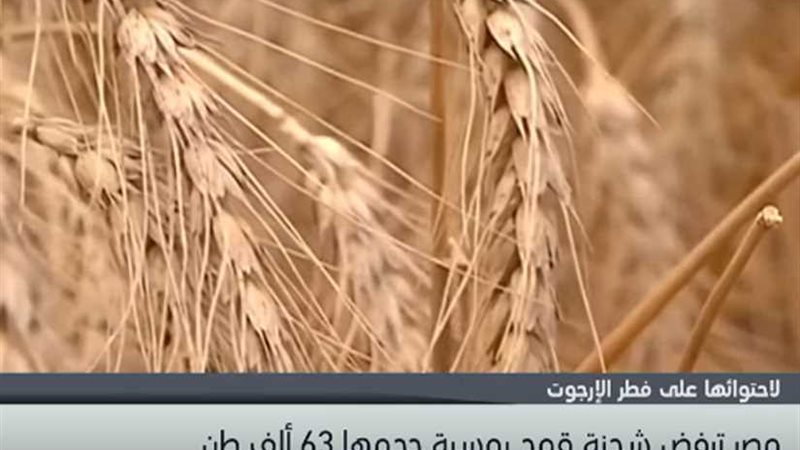 مصر ترفض شحنة قمح