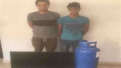 سقوط عاطلين سرقا شقة موظفة في القطامية