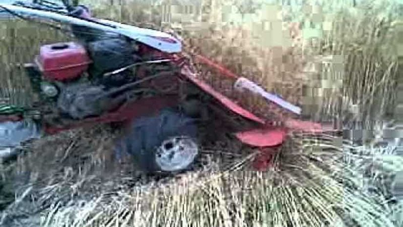 ماكينة حصاد القمح