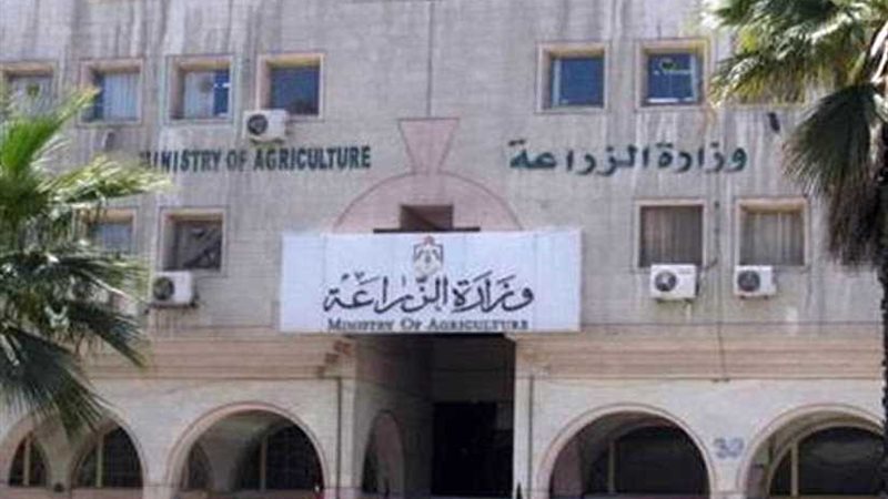 نائب وطبيبة يقتربان